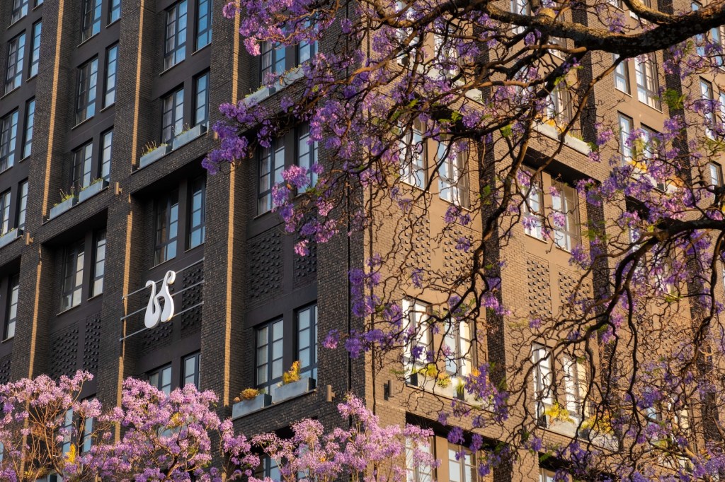 An angled view of the Hyde Johannesburg hotel exterior showing the textured dark masonry and multi-story windows. Purple Jacaranda flowers are in full bloom in the foreground, partially obscuring the building to create a warm, seasonal atmosphere at sunset.