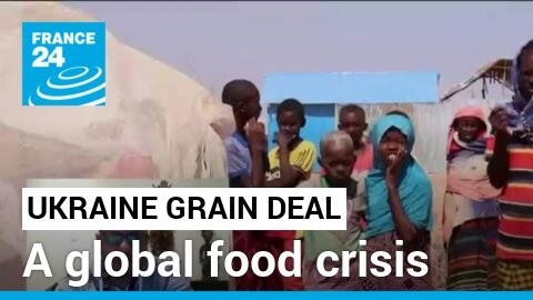 Developing nations 'strongly dependent' on Ukraine, world's food basket, for people's very survival